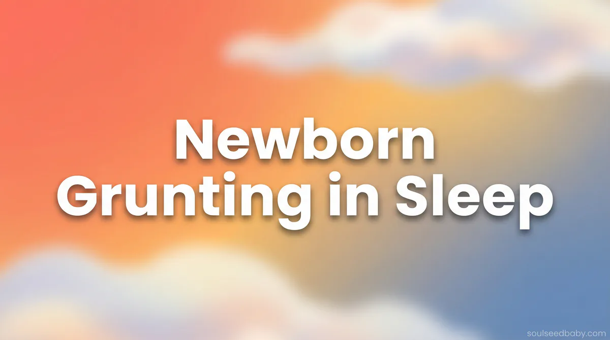 Newborn Grunting in Sleep: What Causes It and When to Worry - SoulSeed Baby Names blog header image