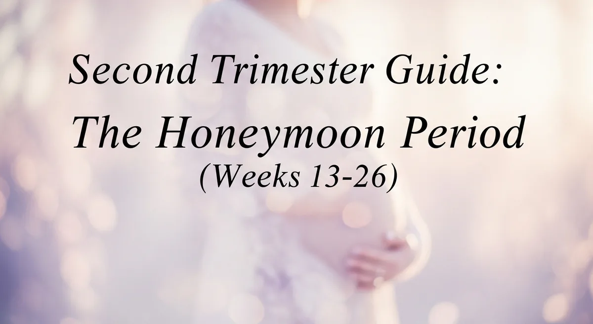 Second trimester guide - the honeymoon period weeks 13 to 26