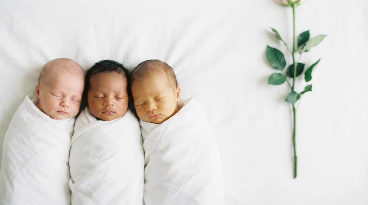 Group of newborn babies with minimal floral accents: group three babies rose stem