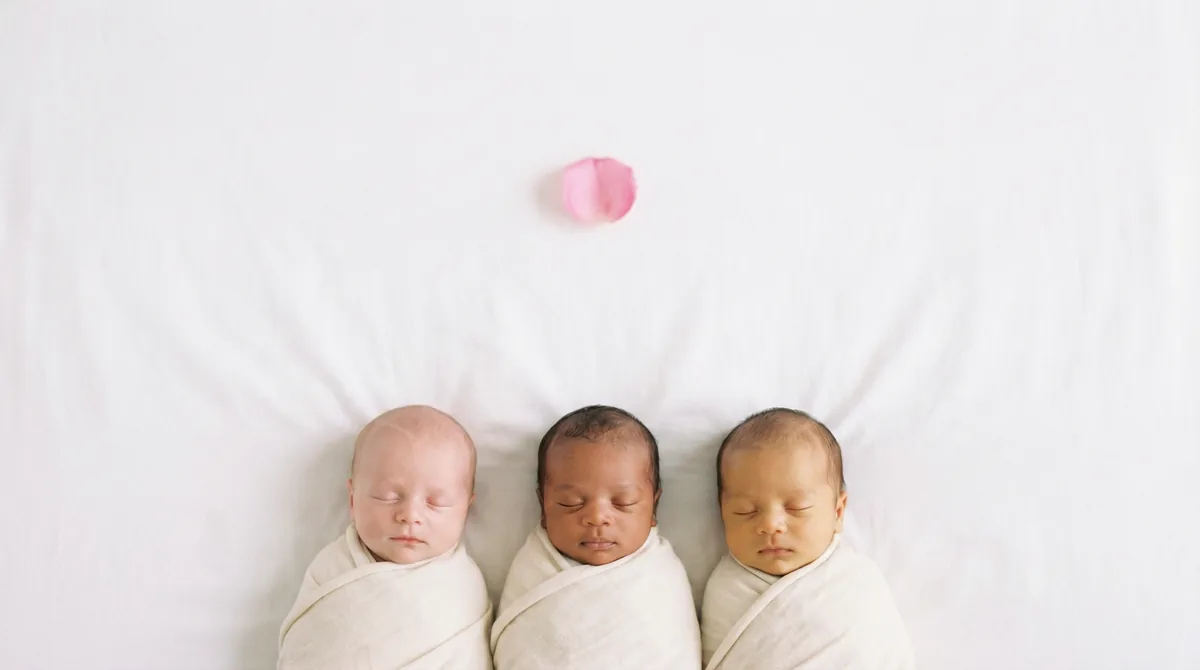 Group of newborn babies with minimal floral accents: group three babies rose petal minimal