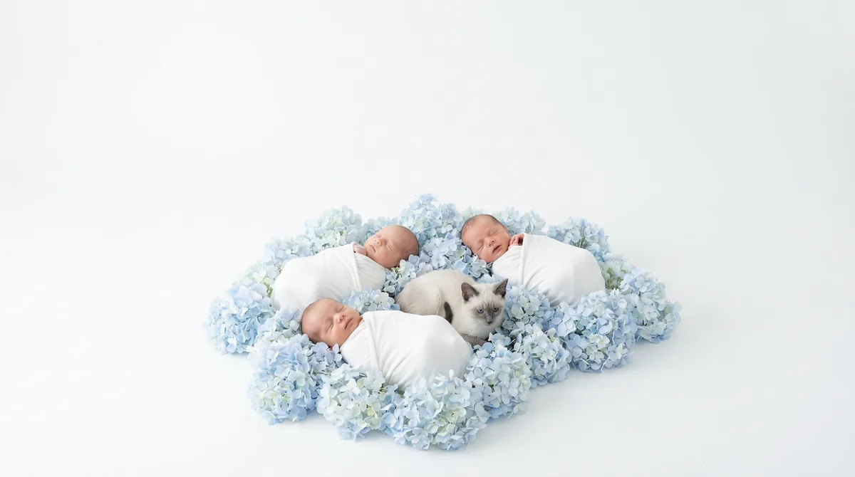 Newborn baby with kitten in fashion photoshoot featuring kitten blue hydrangea siamese
