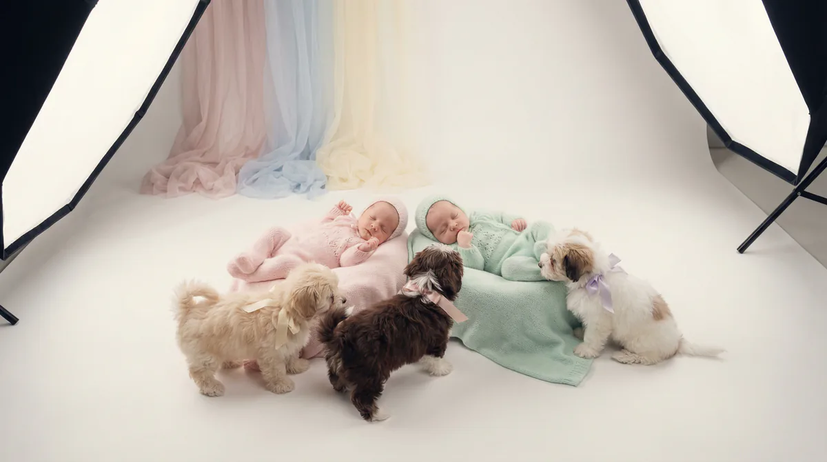 Newborn baby with puppies in fashion photoshoot featuring two newborns three havanese puppys